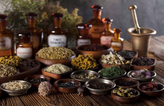 חנות טבע באינטרנט2