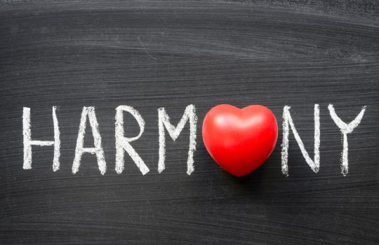 מרכז הרמוניה2